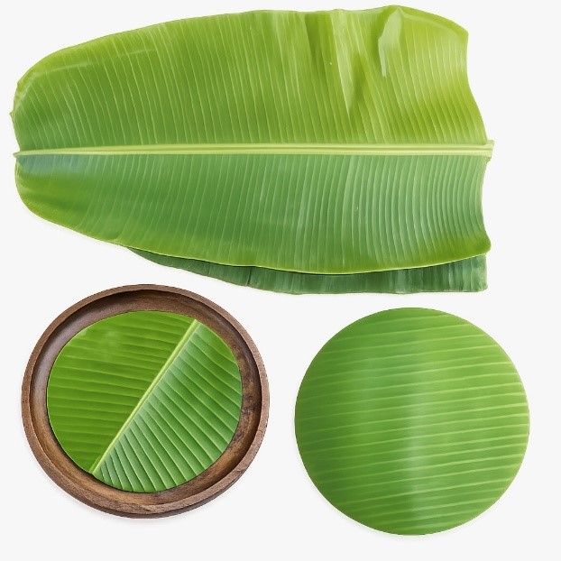 Banana Leaves